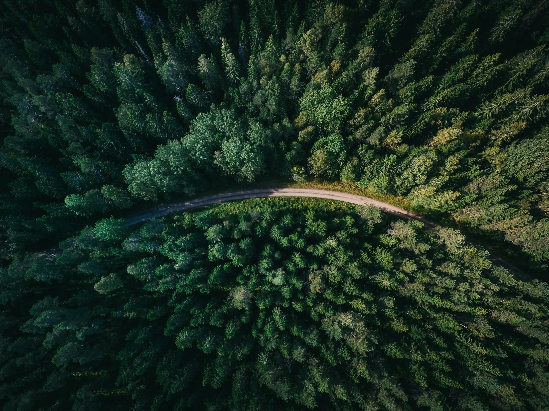 An aerial view of a winding road through a Swedish forest